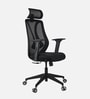 Peacock Breathable Mesh Ergonomic Chair In Black Colour