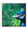 Peacock Handmade Acrylic Paint On Canvas Unframed