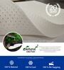 Pearl 100% Natural Latex 6 inch Latex Single Mattress (with 2 Free Pillows)