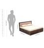 Pearl Sheesham Wood Upholstered Queen Size Bed With Hydraulic Storage
