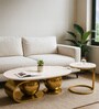 Pedrio Faux Metal Coffee Table In Gold Pvd Finish