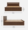 Pegasi Solid Wood King Size Bed In Golden Brown Colour With Box Storage