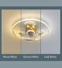 Peli Gold Aluminium and Acrylic LED Smart Fan Chandelier
