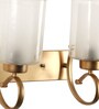 Pellucid Cilindro Gold Metal Wall Sconces