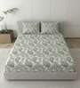 Pencil Metro 186 TC Cotton Double Bedsheet With 2 Pillow Covers