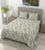 Pencil Metro 186 TC Cotton King Bedsheet With 2 Pillow Covers