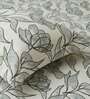 Pencil Metro 186 TC Cotton King Bedsheet With 2 Pillow Covers