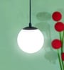 Pendant Black & White (E- 27/ 12 Watt) Metal & Glass Globe Hanging Light