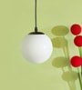 Pendant Black & White (E- 27/ 12 Watt) Metal & Glass Globe Hanging Light