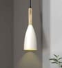 Pendant Lamp Shade for Kitchen Island, Color Metal Minimal Pot Pendant Light Shades, Nordic Wood Bedroom, Living Room, Bottle Guard, White