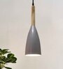 Pendant Lamp Shade for Kitchen Island, Color Metal Minimal Pot Pendant Light Shades, Nordic Wood Bedroom, Living Room, Bottle Guard, Gray