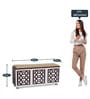 Pepper Shoe Rack with Seating in Brown Teak & White Finish