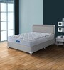 Allura 6 inch Pocketed Spring King Size Mattress in Grey Colour