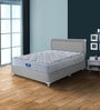 Allura 8 inch Pocketed Spring King Size Mattress in Grey Colour