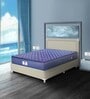Caspia 10 inch Bonnell Spring King Size Mattress in Navy Blue Colour