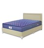 Caspia 10 inch Bonnell Spring Queen Size Mattress in Navy Blue Colour