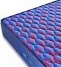 Caspia 10 inch Bonnell Spring Single Mattress in Navy Blue Colour