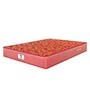 Caspia 6 inch Bonnell Spring King Size Mattress in Maroon Colour