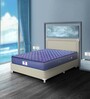 Caspia 6 inch Bonnell Spring King Size Mattress in Navy Blue Colour