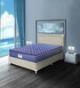 Caspia 6 inch Bonnell Spring Single Mattress in Navy Blue Colour
