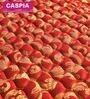 Caspia 8 inch Bonnell Spring King Size Mattress in Maroon Colour