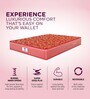 Caspia 8 inch Bonnell Spring King Size Mattress in Maroon Colour
