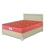 Caspia 8 inch Bonnell Spring King Size Mattress in Maroon Colour