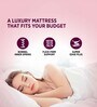 Caspia 8 inch Bonnell Spring King Size Mattress in Maroon Colour