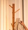 Perch Handcrafted Coat Hanger