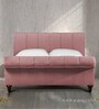 Perfect Fabric Upholstered Queen Size Bed in Ba Colour
