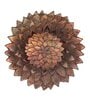 Peri Aluminum Wall Light (Bronze )