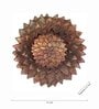 Peri Aluminum Wall Light (Bronze )