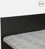 Persia King Size Bed in Wenge Finish with Box Storage