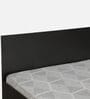 Persia Queen Size Bed in Wenge Finish with Box Storage