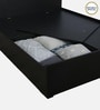 Persia Queen Size Bed in Wenge Finish with Box Storage