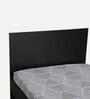Persia Single Bed in Wenge Finish