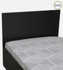 Persia Single Bed in Wenge Finish with Box Storage