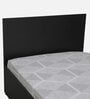 Persia Single Bed in Wenge Finish with Box Storage