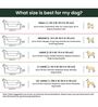 Lounger- Large Dark Green Fabric Pet Bed