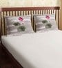 Beige Floral and Striped 300TC Cotton 18 x 27 Inches Pillow Covers (Set of 2)