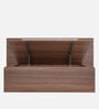 Petra King Size Bed with Hydraulic Storage in Teak Finish