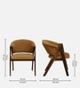 Petra Sheesham Wood Arm Chair In Scratch Resistant Provincial Teak Finish