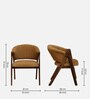 Petra Sheesham Wood Arm Chair In Scratch Resistant Provincial Teak Finish