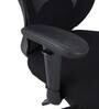 Petrillo Fabric Ergonomic Chair In Black Colour