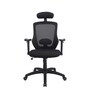 Petrillo Fabric Ergonomic Chair In Black Colour