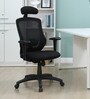 Petrillo Fabric Ergonomic Chair In Black Colour