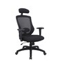 Petrillo Fabric Ergonomic Chair In Black Colour