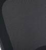 Petrillo Fabric Ergonomic Chair In Black Colour