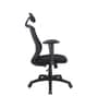 Petrillo Fabric Ergonomic Chair In Black Colour