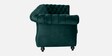 Phenomenal Velvet 3 Seater Sofa in Green Colour